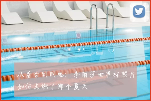 从看台到网络：李丽莎世界杯照片如何点燃了那个夏天