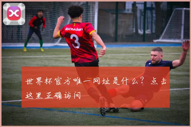 世界杯官方唯一网址是什么?点击这里正确访问