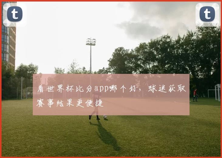 看世界杯比分app哪个好,球迷获取赛事结果更便捷