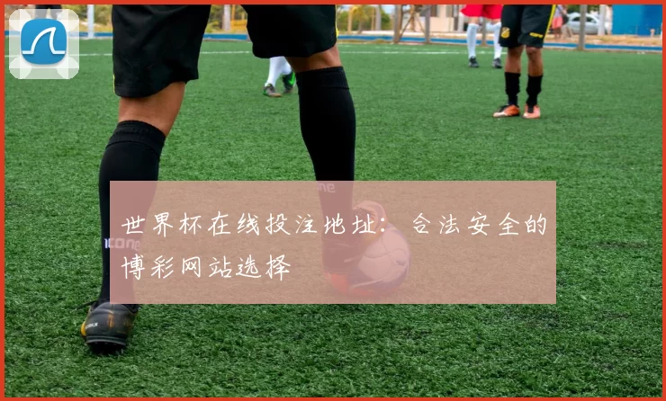 世界杯在线投注地址：合法安全的博彩网站选择
